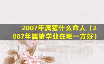 2007年属猪什么命人（2007年属猪学业在哪一方好）