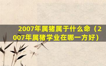 2007年属猪属于什么命（2007年属猪学业在哪一方好）