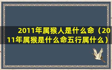 2011年属猴人是什么命（2011年属猴是什么命五行属什么）