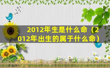 2012年生是什么命（2012年出生的属于什么命）