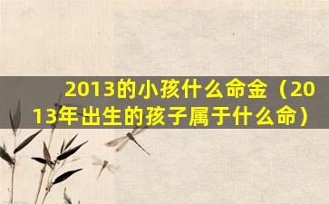 2013的小孩什么命金（2013年出生的孩子属于什么命）