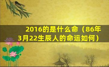 2016的是什么命（86年3月22生辰人的命运如何）