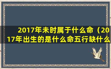 2017年未时属于什么命（2017年出生的是什么命五行缺什么名字）