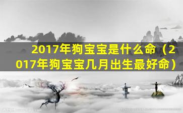 2017年狗宝宝是什么命（2017年狗宝宝几月出生最好命）