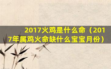 2017火鸡是什么命（2017年属鸡火命缺什么宝宝月份）