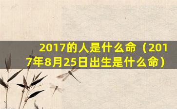 2017的人是什么命（2017年8月25日出生是什么命）