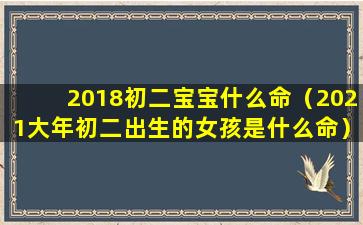 2018初二宝宝什么命（2021大年初二出生的女孩是什么命）