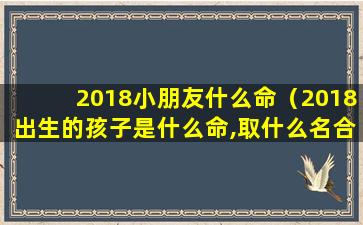 2018小朋友什么命（2018出生的孩子是什么命,取什么名合适）