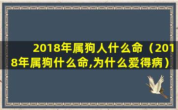 2018年属狗人什么命（2018年属狗什么命,为什么爱得病）