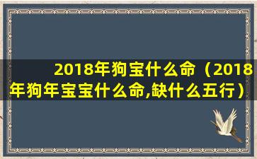 2018年狗宝什么命（2018年狗年宝宝什么命,缺什么五行）