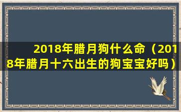 2018年腊月狗什么命（2018年腊月十六出生的狗宝宝好吗）