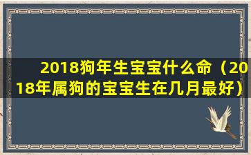 2018狗年生宝宝什么命（2018年属狗的宝宝生在几月最好）