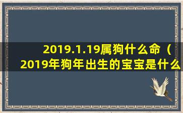 2019.1.19属狗什么命（2019年狗年出生的宝宝是什么命）