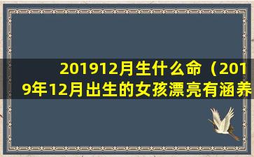 201912月生什么命（2019年12月出生的女孩漂亮有涵养的名字）