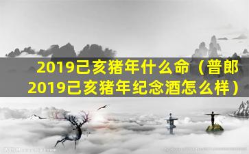 2019己亥猪年什么命（普郎2019己亥猪年纪念酒怎么样）