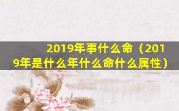 2019年事什么命（2019年是什么年什么命什么属性）