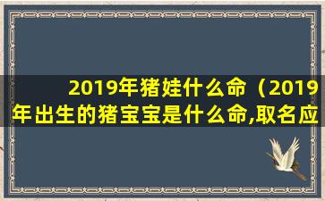 2019年猪娃什么命（2019年出生的猪宝宝是什么命,取名应补什么）