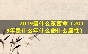 2019是什么东西命（2019年是什么年什么命什么属性）