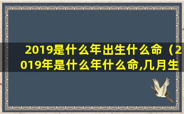 2019是什么年出生什么命（2019年是什么年什么命,几月生好）