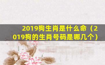 2019狗生肖是什么命（2019狗的生肖号码是哪几个）