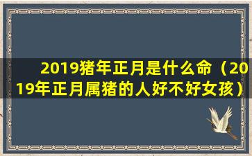 2019猪年正月是什么命（2019年正月属猪的人好不好女孩）