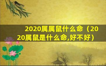 2020属属鼠什么命（2020属鼠是什么命,好不好）