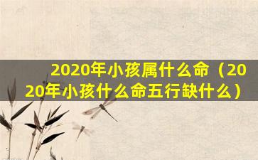 2020年小孩属什么命（2020年小孩什么命五行缺什么）