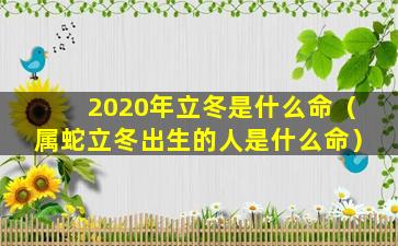 2020年立冬是什么命（属蛇立冬出生的人是什么命）