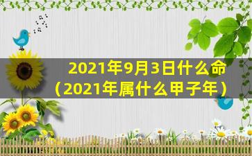 2021年9月3日什么命（2021年属什么甲子年）