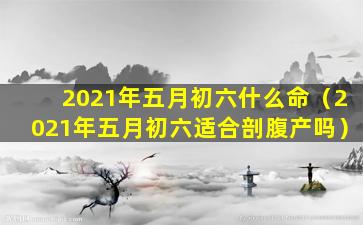 2021年五月初六什么命（2021年五月初六适合剖腹产吗）