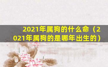 2021年属狗的什么命（2021年属狗的是哪年出生的）