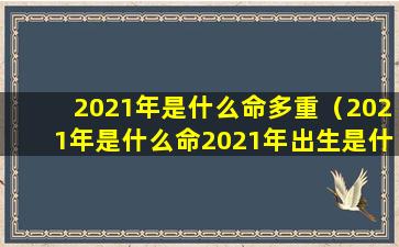 2021年是什么命多重（2021年是什么命2021年出生是什么命）