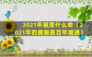 2021年猴是什么命（2021年的属猴是百年难遇）