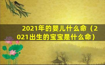 2021年的婴儿什么命（2021出生的宝宝是什么命）