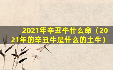 2021年辛丑牛什么命（2021年的辛丑牛是什么的土牛）