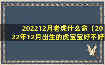 202212月老虎什么命（2022年12月出生的虎宝宝好不好）