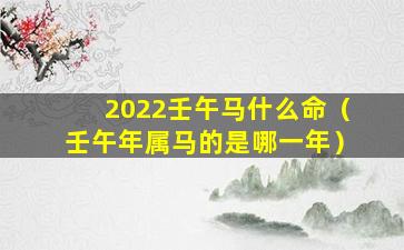 2022壬午马什么命（壬午年属马的是哪一年）