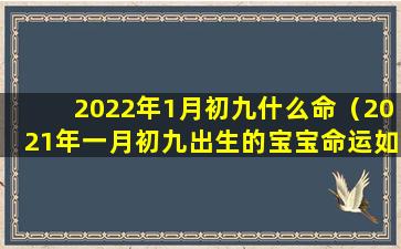 2022年1月初九什么命（2021年一月初九出生的宝宝命运如何）