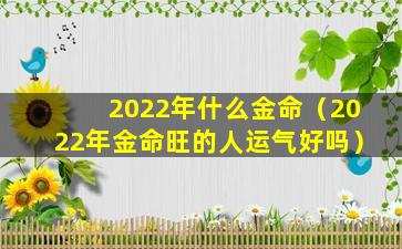 2022年什么金命（2022年金命旺的人运气好吗）