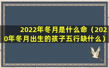 2022年冬月是什么命（2020年冬月出生的孩子五行缺什么）