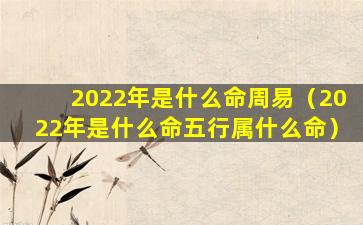 2022年是什么命周易（2022年是什么命五行属什么命）