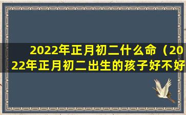 2022年正月初二什么命（2022年正月初二出生的孩子好不好）