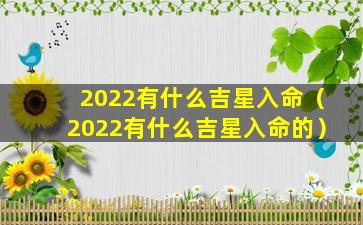 2022有什么吉星入命（2022有什么吉星入命的）