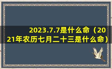 2023.7.7是什么命（2021年农历七月二十三是什么命）