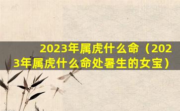 2023年属虎什么命（2023年属虎什么命处暑生的女宝）