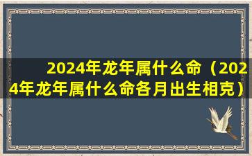 2024年龙年属什么命（2024年龙年属什么命各月出生相克）