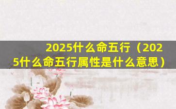 2025什么命五行（2025什么命五行属性是什么意思）