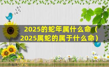 2025的蛇年属什么命（2025属蛇的属于什么命）