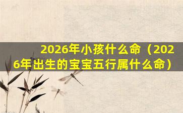 2026年小孩什么命（2026年出生的宝宝五行属什么命）