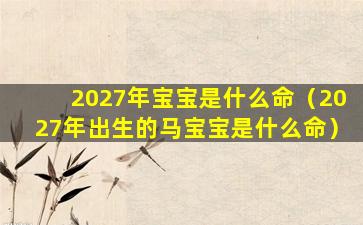 2027年宝宝是什么命（2027年出生的马宝宝是什么命）